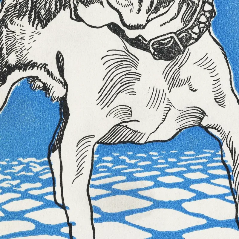 Bulldog Moriz Jung