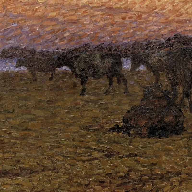 Mucche Sulla Spiaggia Nils Kreuger