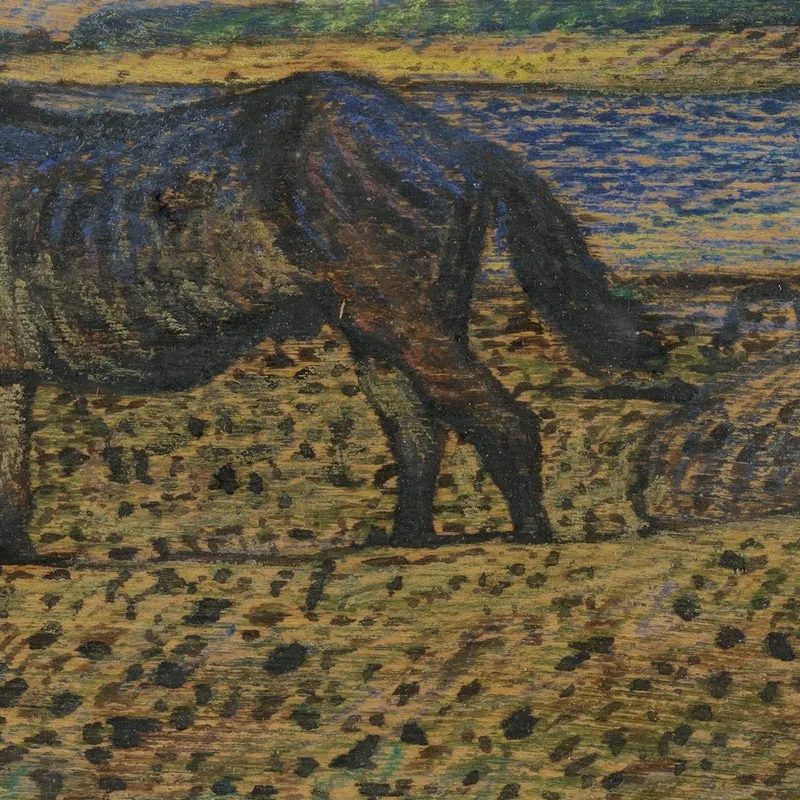 Cavalli In Spiaggia Nils Kreuger