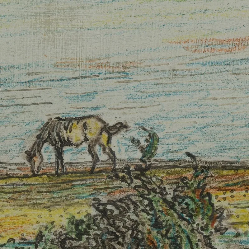 Caballos Pastando Nils Kreuger