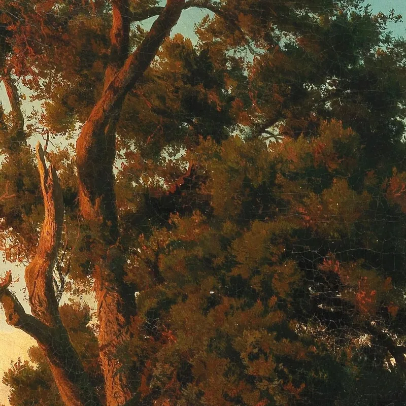 Ein Majestätischer Baum Im Abendlicht Oswald Achenbach
