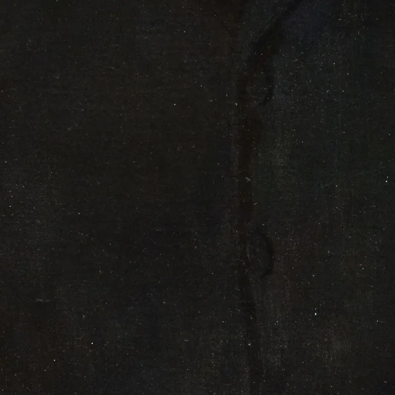 Portrait De Joannes De Stuers À 20 Ans Pascal Dagnan Bouveret