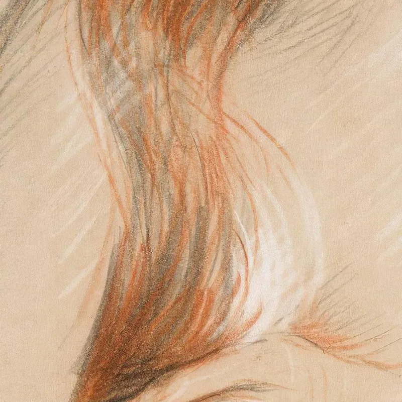 Nackte Frau Mit Langen Haaren Paul César Helleu