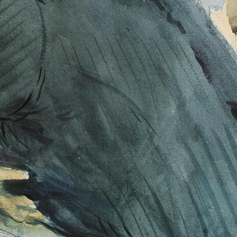 Retrato De Perfil De Una Joven Dama Paul César Helleu