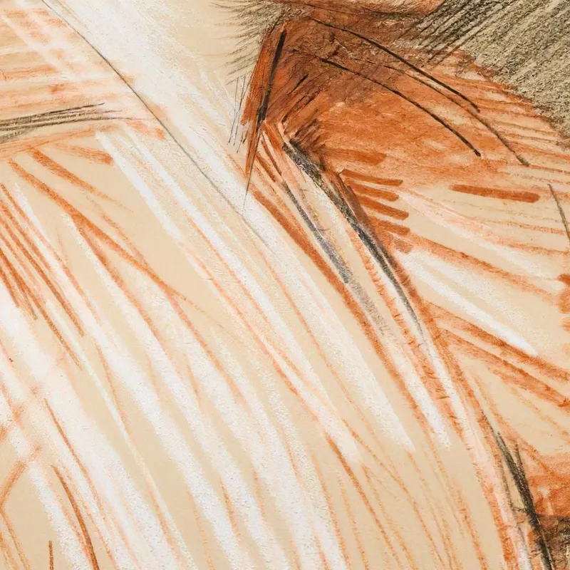 Retrato De Perfil De Elisabeth Van Biema Paul César Helleu