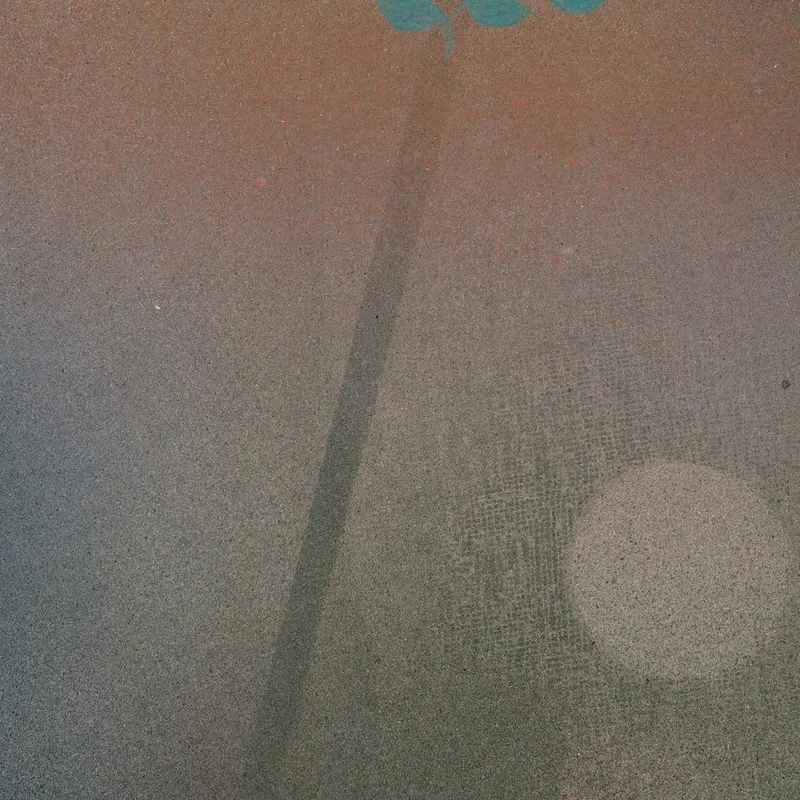Oiseau Errant Paul Klee