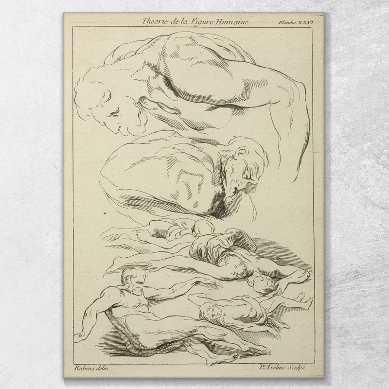 Seis Estudios De Figuras Masculinas En Diversas Posiciones Boca Abajo Y Boca Abajo. Peter Paul Rubens