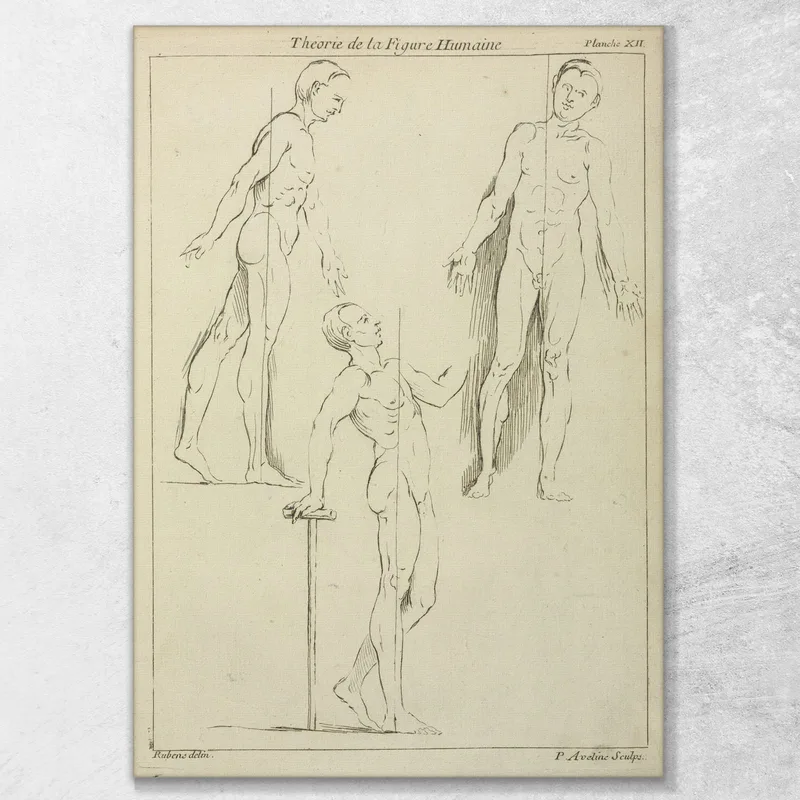 Three Standing Figures Seen From Side And Front Peter Paul Rubens