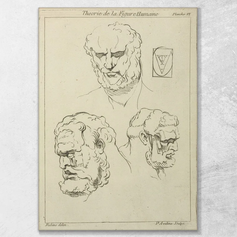 Three Studies Of A Man'S Head And Beard Peter Paul Rubens