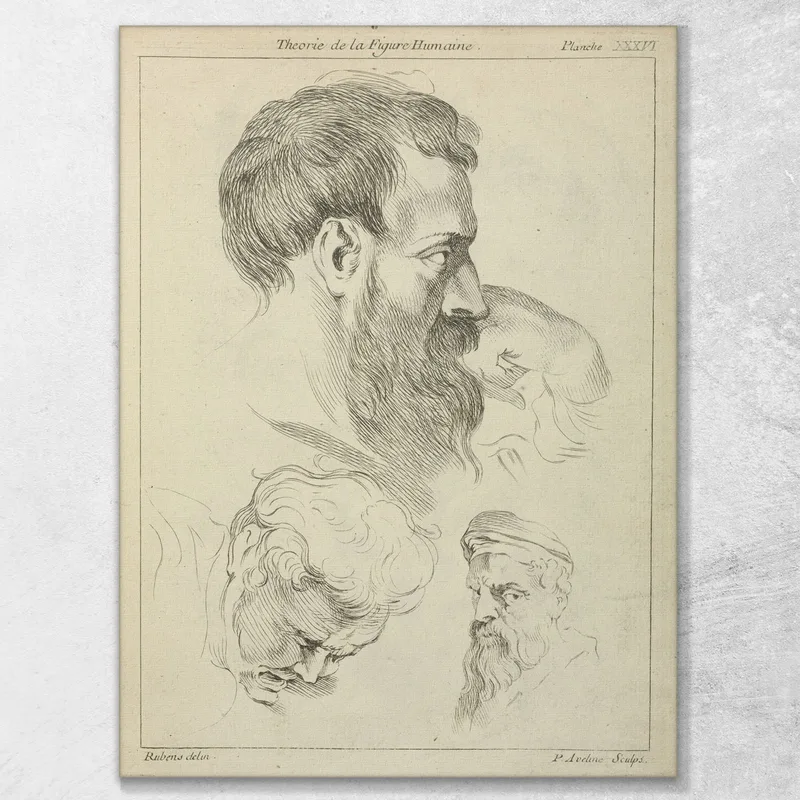 Three Studies Of Men'S Heads Peter Paul Rubens