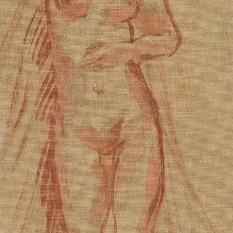 Nessun Accordo Pierre Bonnard
