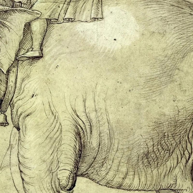 The Elephant Hanno Raphael