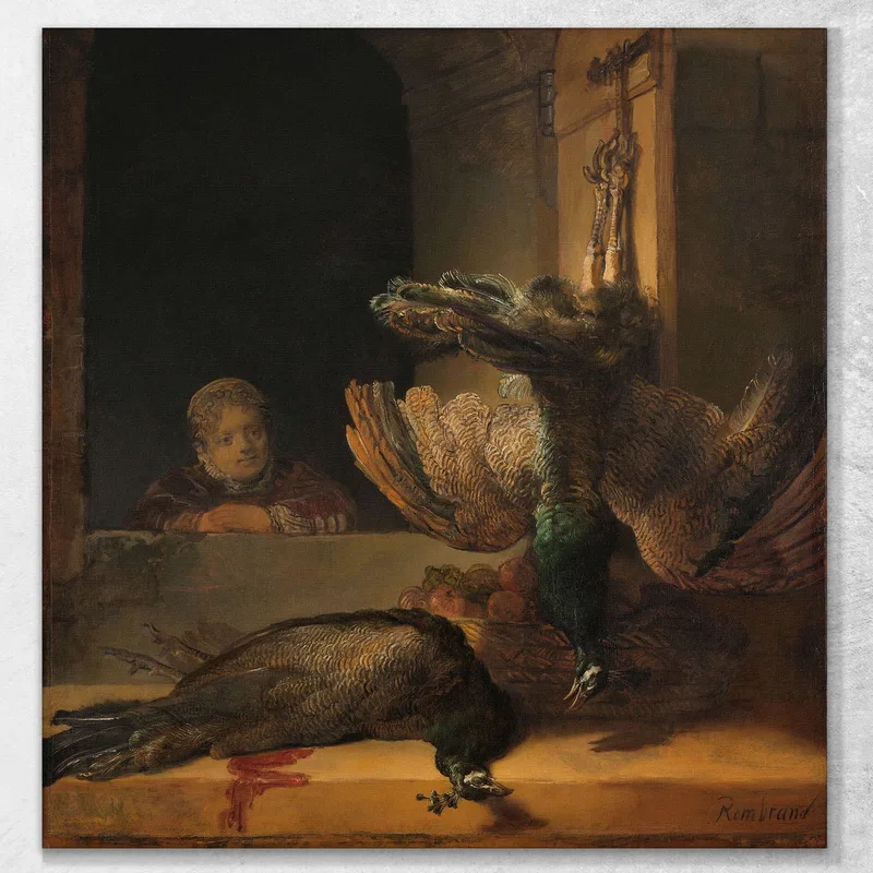 Stillleben Mit Pfauen Rembrandt van Rijn