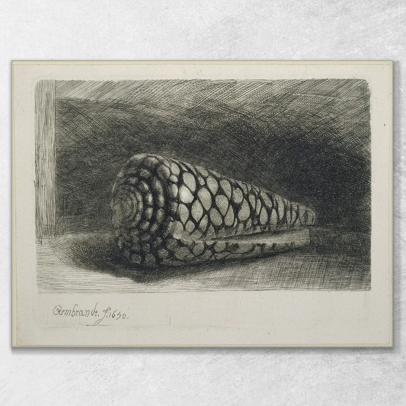 La Cáscara Rembrandt van Rijn