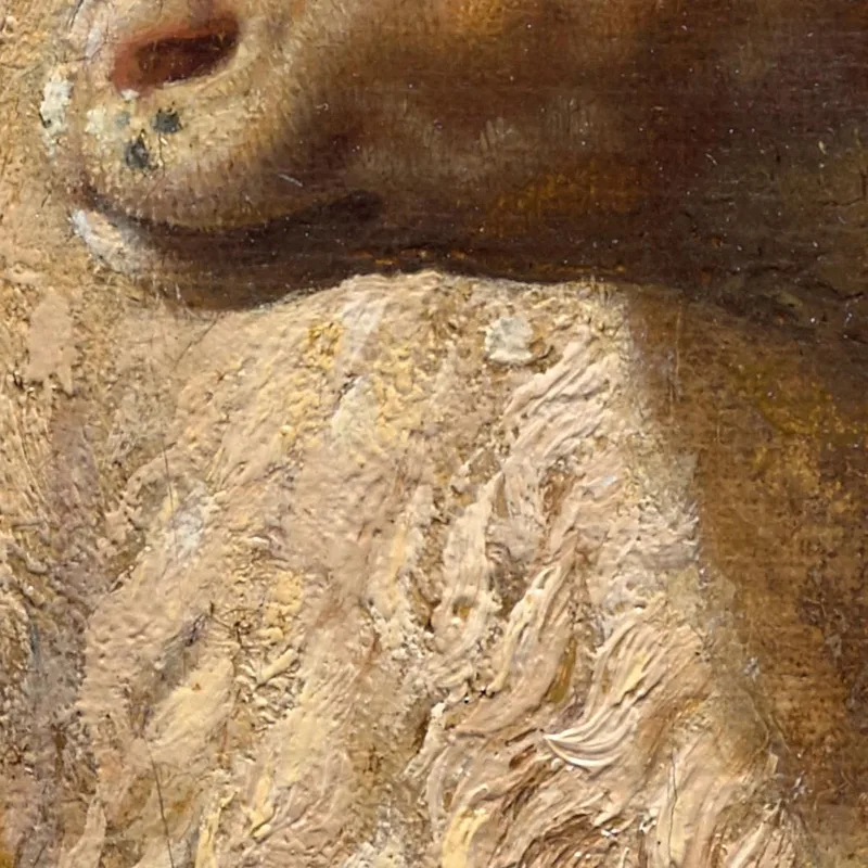 A Sheep At Rest Rosa Bonheur