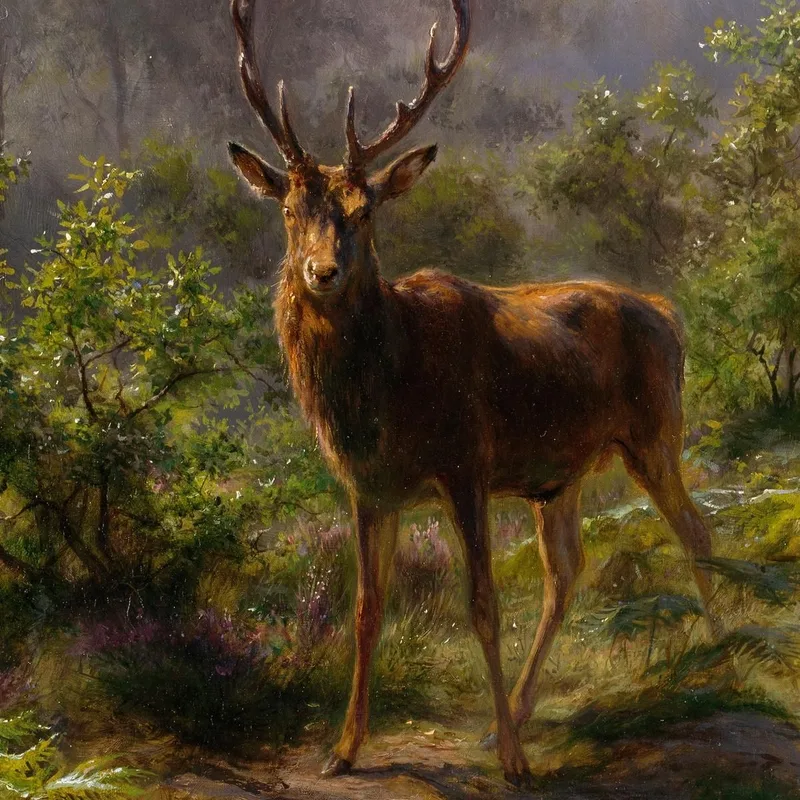 Ein Hirsch Rosa Bonheur