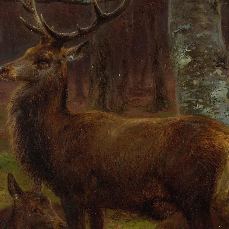 Cerf Et Biches Dans La Forêt En Automne Rosa Bonheur