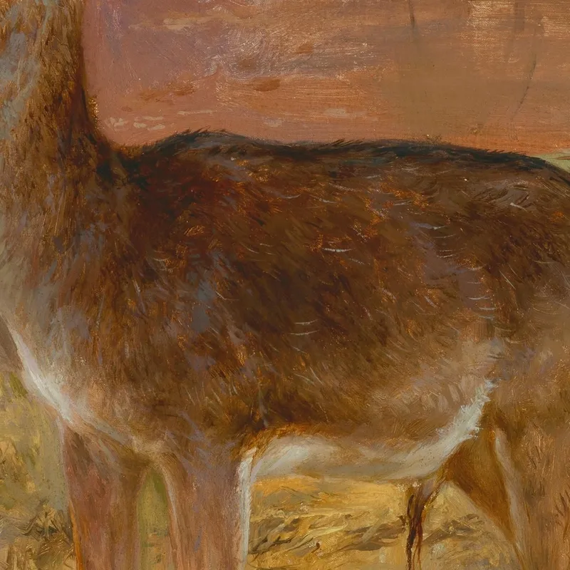 Hirsch Rosa Bonheur
