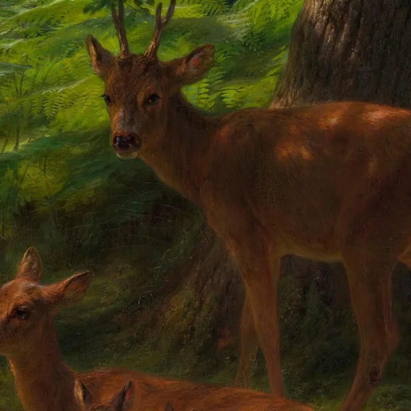 Cerf Au Repos Rosa Bonheur