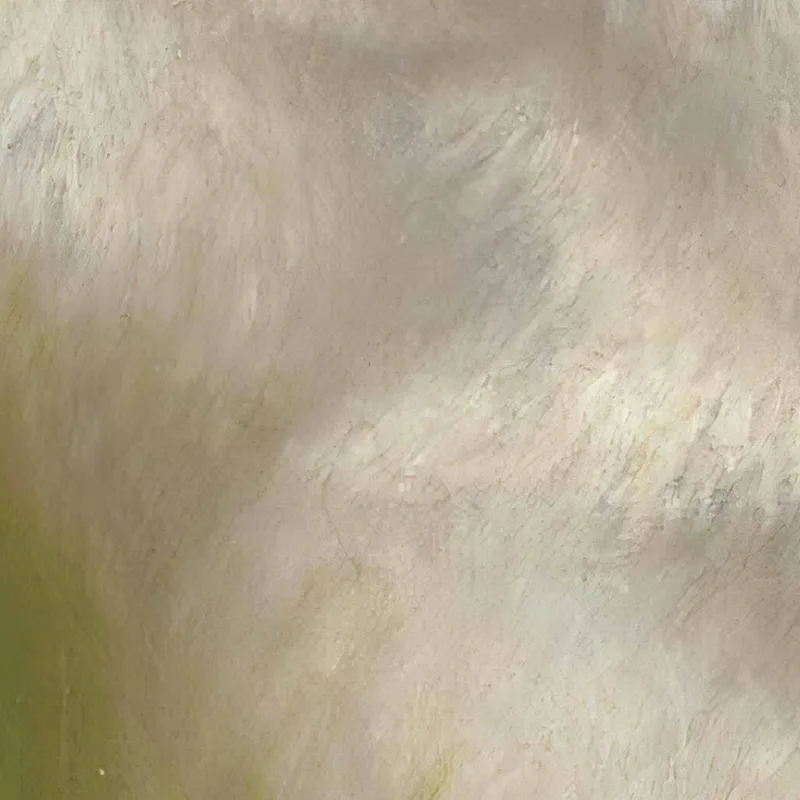 Tête D'Agneau Rosa Bonheur