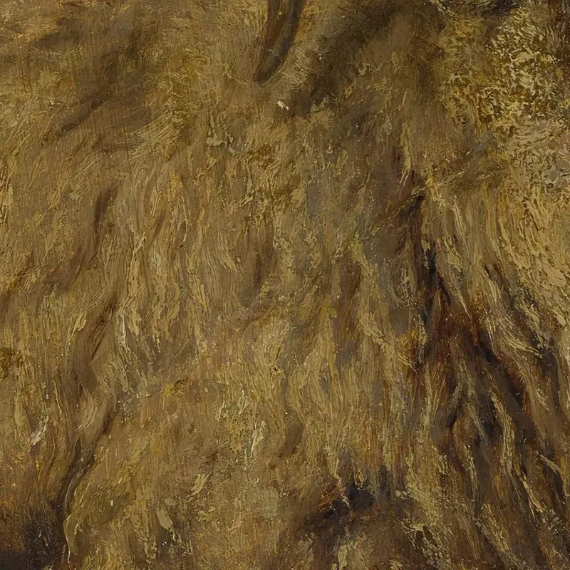 Le Mérinos Rosa Bonheur