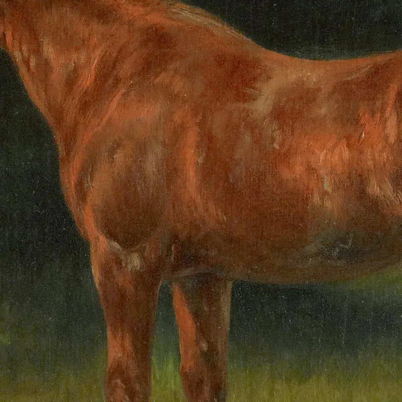 Der Rote Sauerampfer Rosa Bonheur