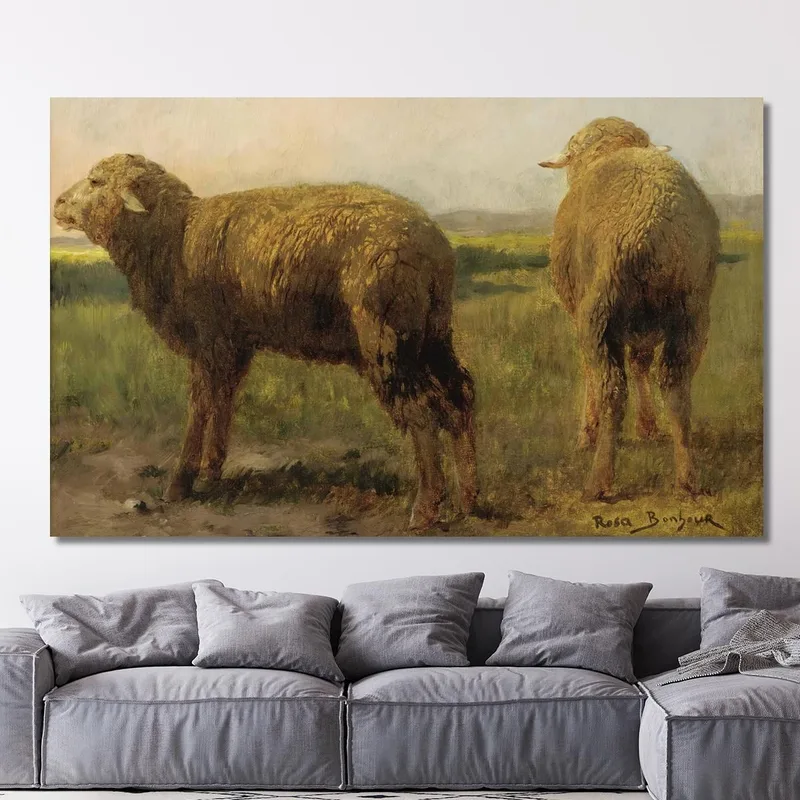 Moutons Dans Un Pré Rosa Bonheur