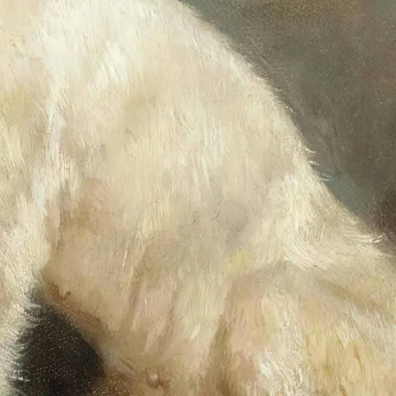 Estudio De Dos Perros Rosa Bonheur
