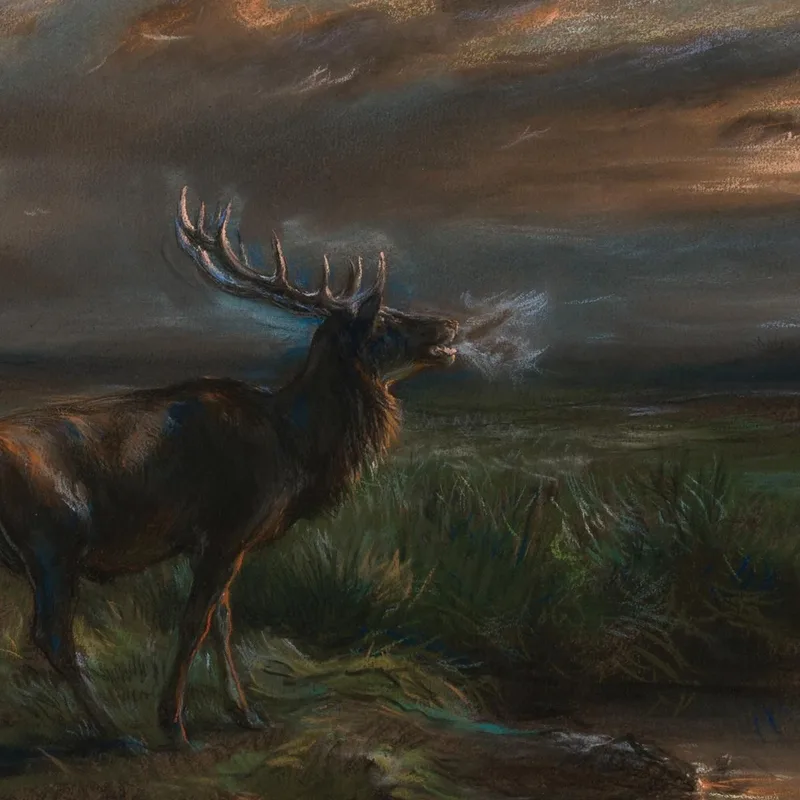 La Llamada Del Ciervo Rosa Bonheur