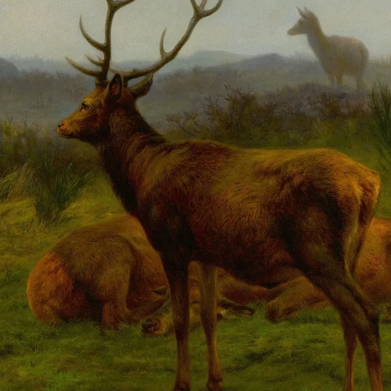 El Monarca De La Manada Rosa Bonheur