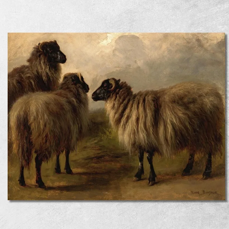 Trois Moutons Laineux Rosa Bonheur tableau impression sur toile