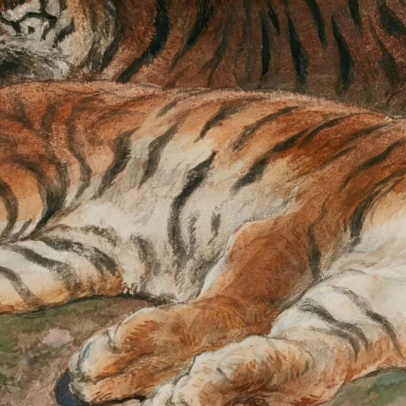 Due Tigri Sdraiate Rosa Bonheur