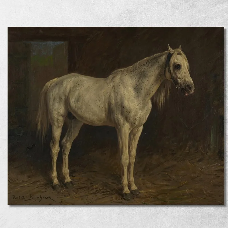 Cheval Blanc Rosa Bonheur tableau impression sur toile