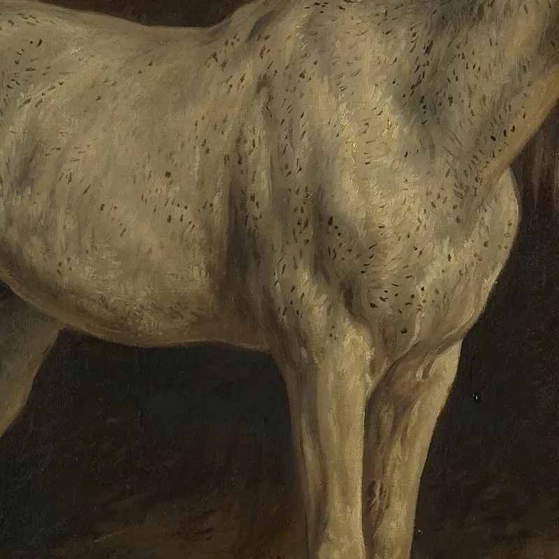 Weißes Pferd Rosa Bonheur