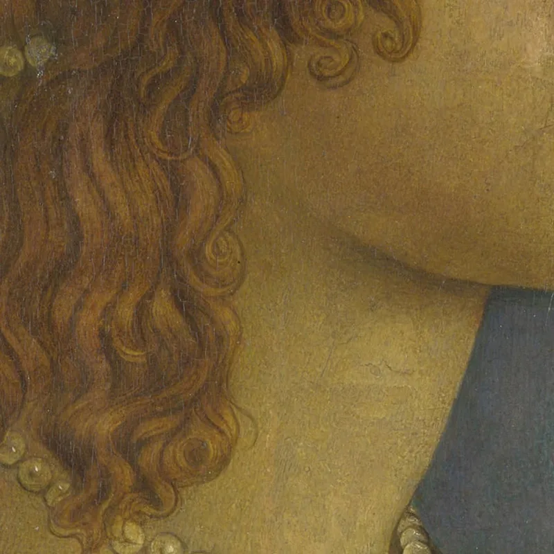 Una Signora Di Profilo Sandro Botticelli