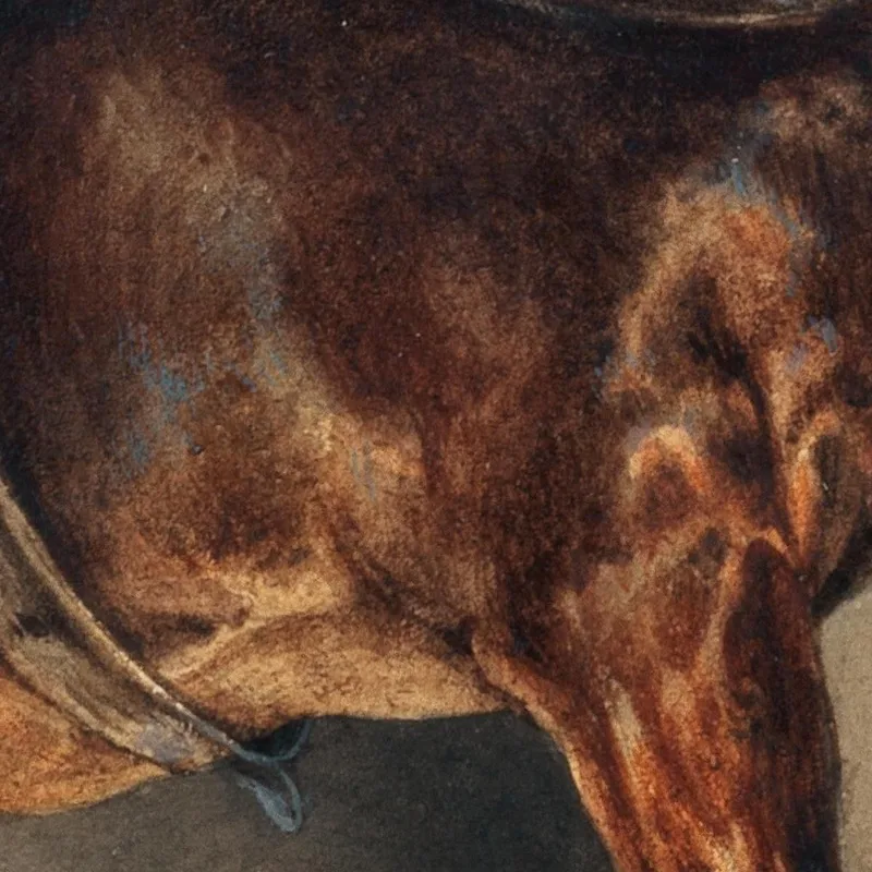 Le Cheval Du Platrier The Plastermaker'S Horse Théodore Géricault