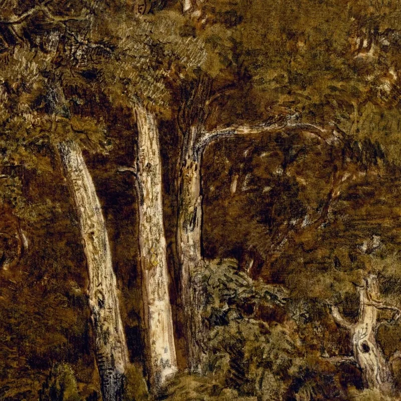 Les Grands Chênes Du Vieux Bas-Bréau Théodore Rousseau