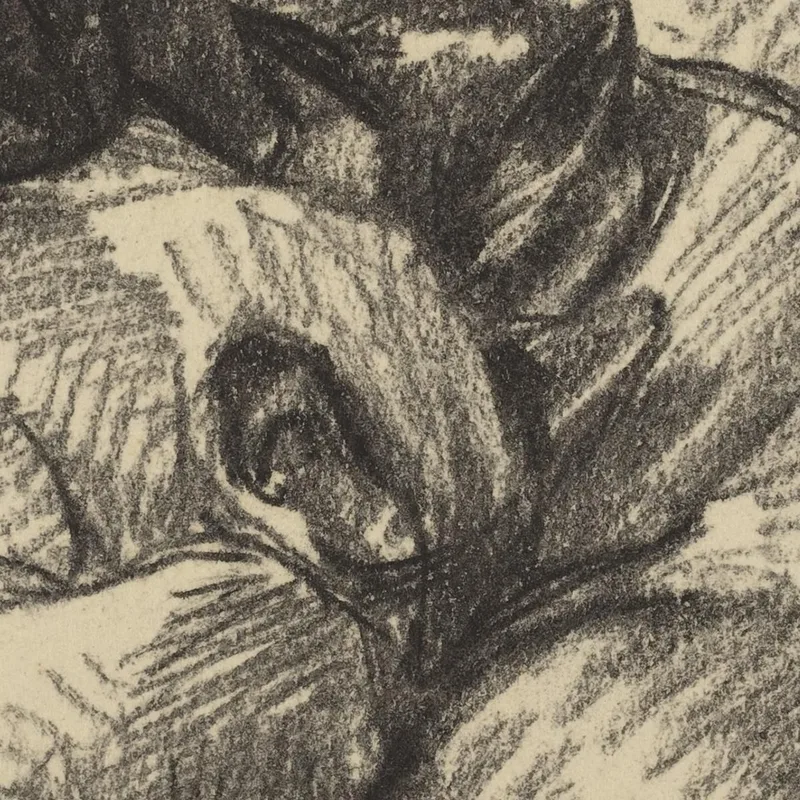 Los Gatos Tsching Batzar Y Blanc-Blanc Théophile Alexandre Steinlen