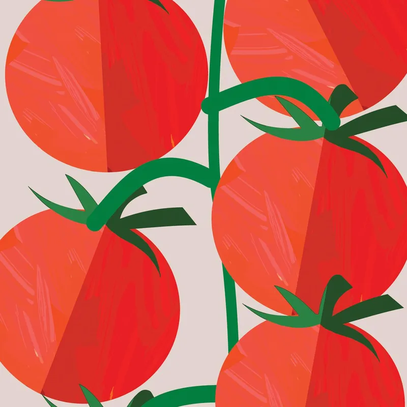 Tomates de Amalfi cuadro moderno