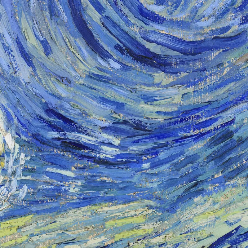 La Notte Stellata Vincent van Gogh