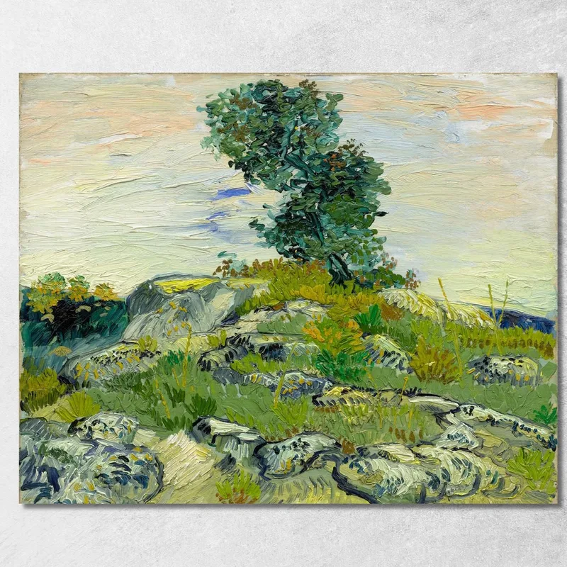 Les Rochers Vincent van Gogh