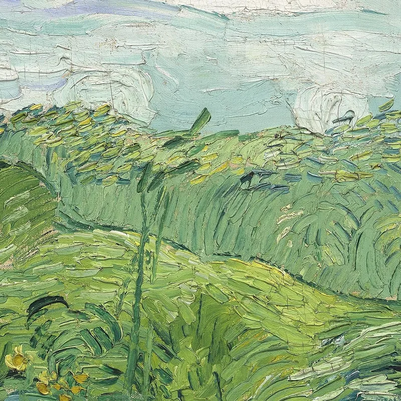Champs De Blé Vert Auvers Vincent van Gogh