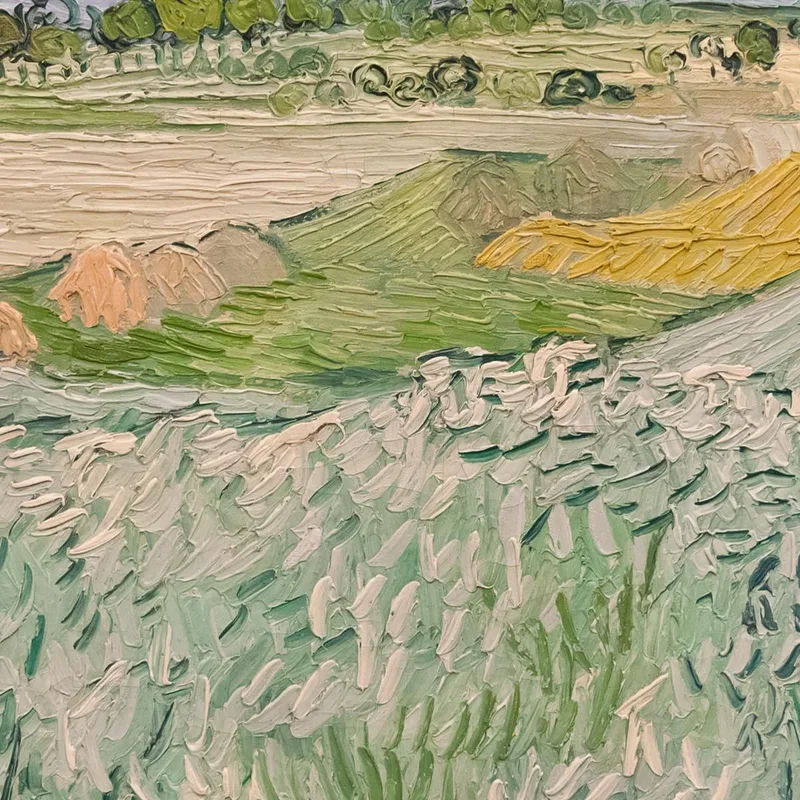 Llanura Cerca De Auvers Vincent van Gogh