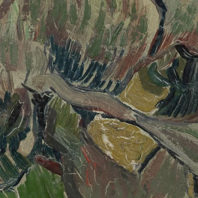 Schädel Vincent van Gogh