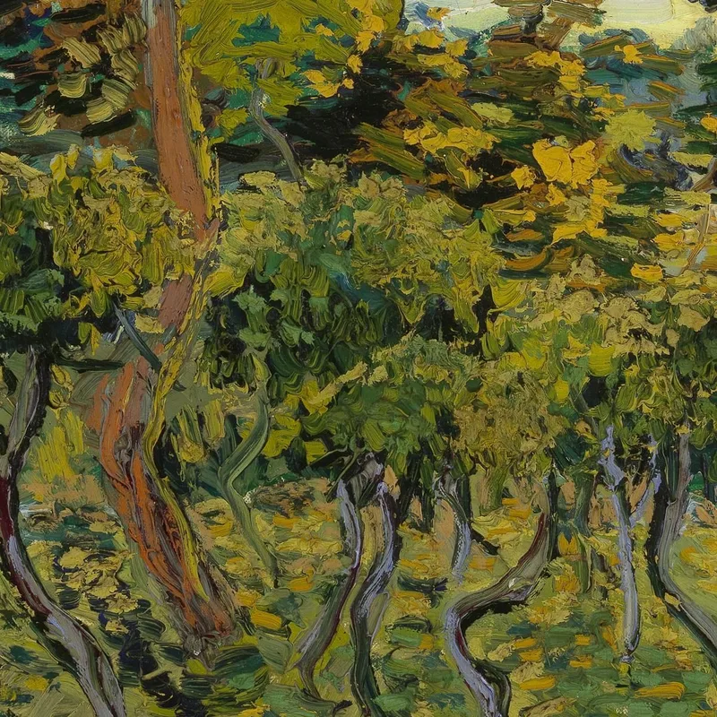 Coucher De Soleil À Montmajour Vincent van Gogh