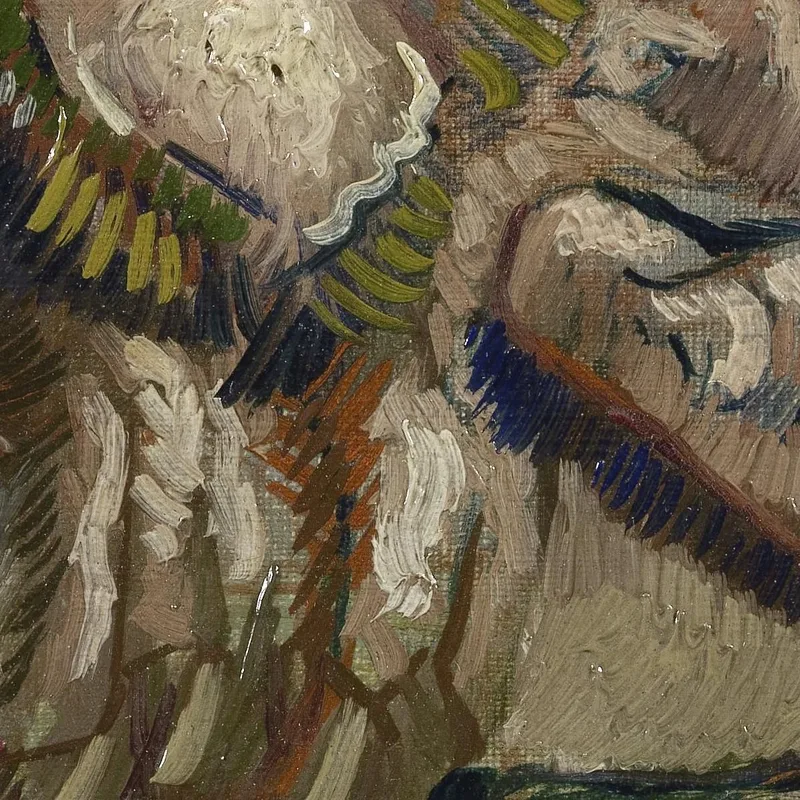 Crabe Sur Le Dos 1888 Vincent van Gogh