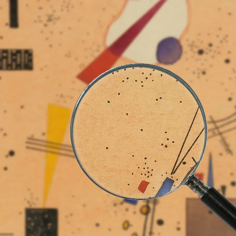 Pulverizador De Jeringa Wassily Kandinsky