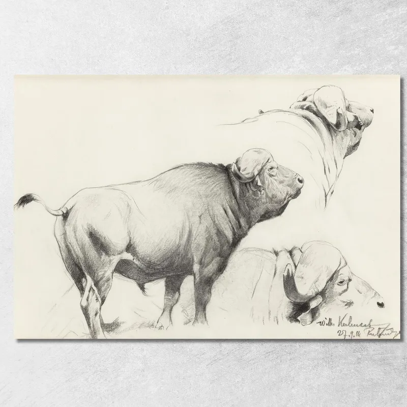 Bufalo Del Capo Wilhelm Kuhnert quadro stampa su tela