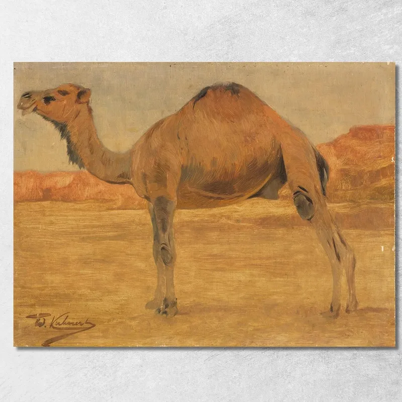 Dromedario Wilhelm Kuhnert quadro stampa su tela
