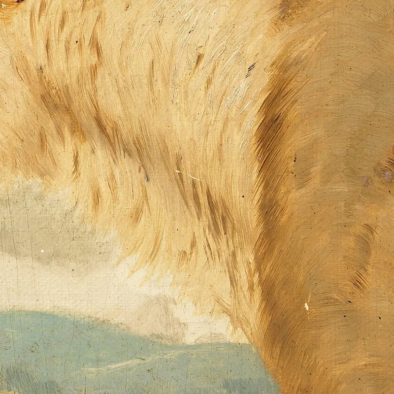 Testa Di Leonessa Wilhelm Kuhnert